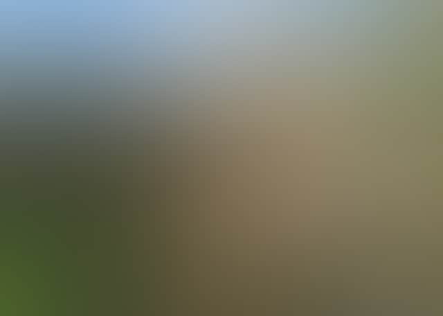 77D565B4547F1B67B425Caafd5Fae3Ba