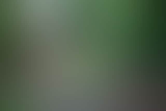 C1Cb5157Da342Fb1Afc9Add8017389Df