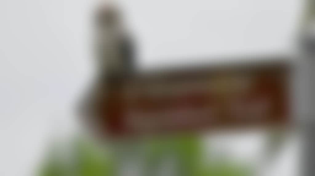 6E15D90D0Fb2836448153A7785Cb741E