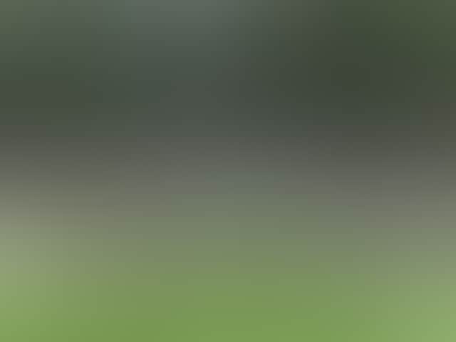 C3C2A56C6F194D5344A04D6Ddb96Cb6D
