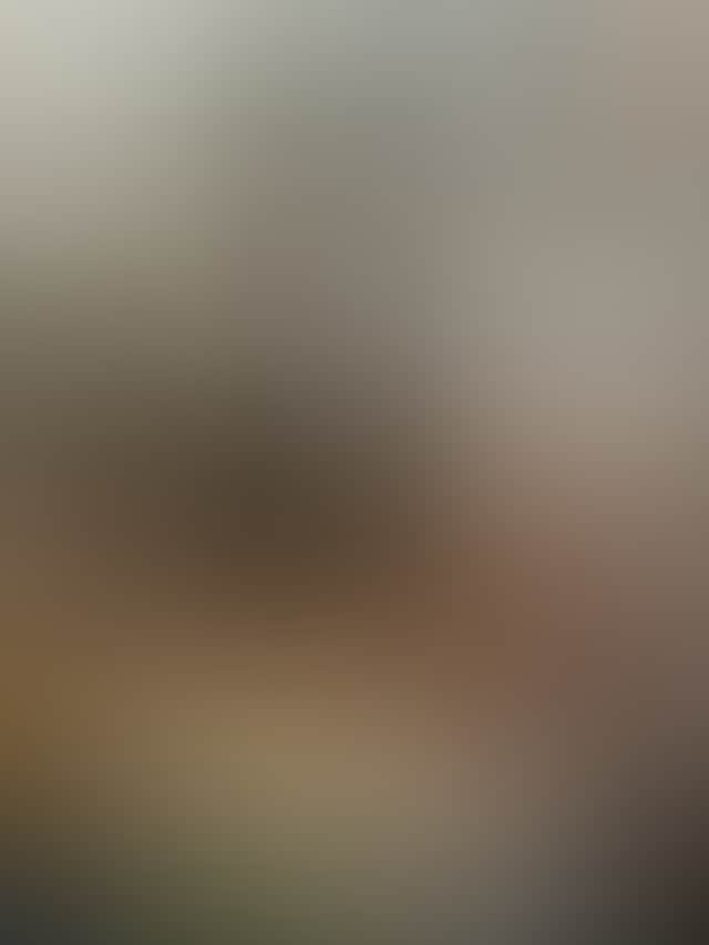 34E0F51B8E6C3Ad5Dccdc9B4F3E69B54