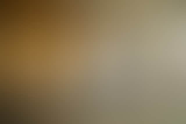 809F2E24B695764217A596F27828Bf63