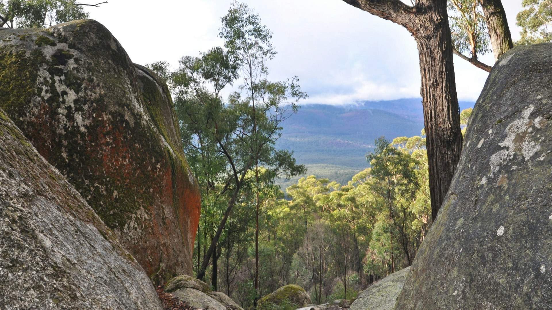 Bunyip State Park