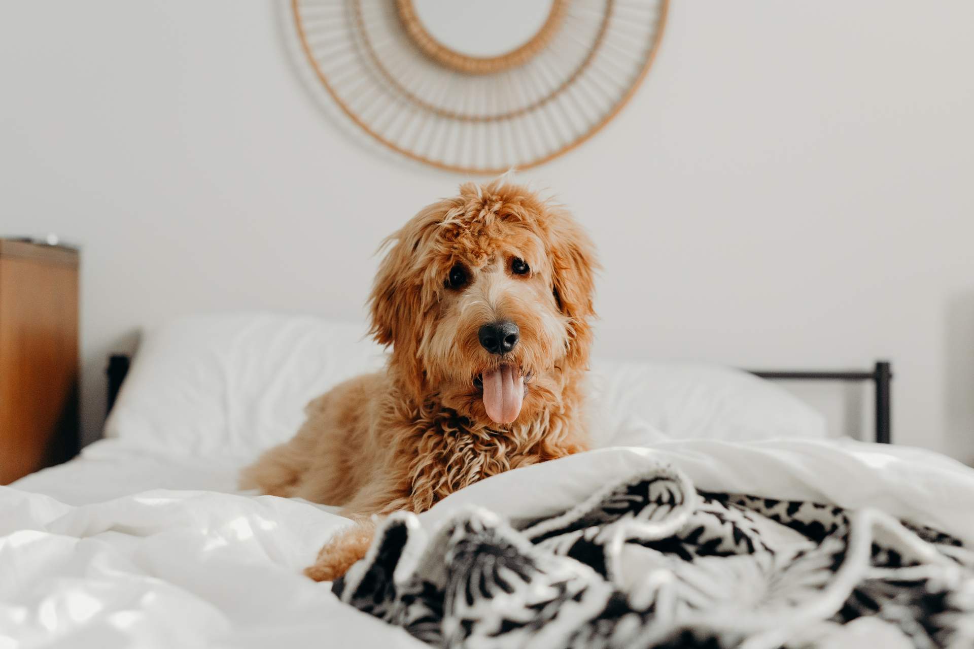Brooke cagle szz Ld R9800c unsplash