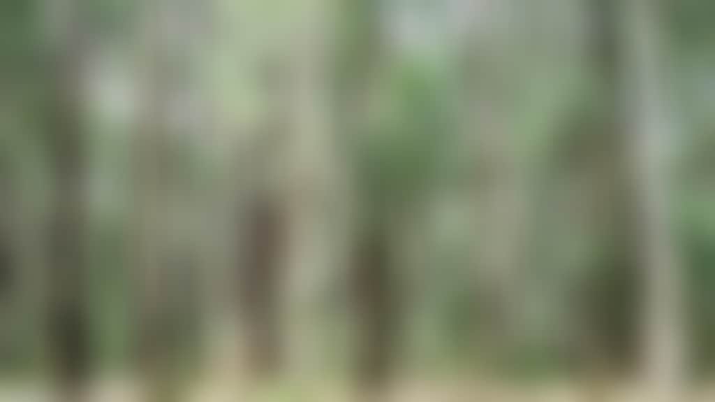 B92E891B3Eac3F09C86Be7Ce9D0E3Fb7