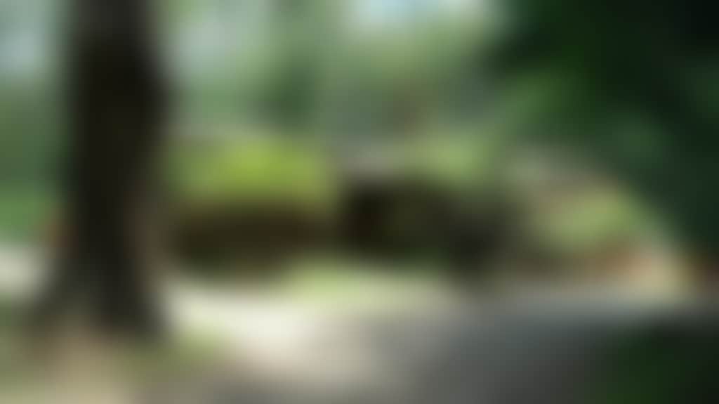 A5520Dcd386E3921B2Ca260E70405D93