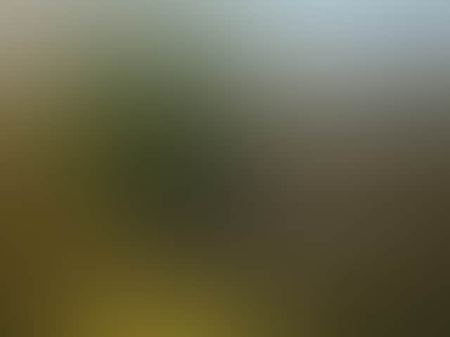 F87Aeaef2A5C0A9Cec90Bc1295Da5482
