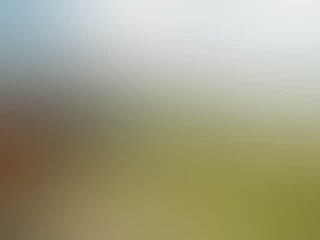 E7615B8Cd488898D0A30F96E8B65F397