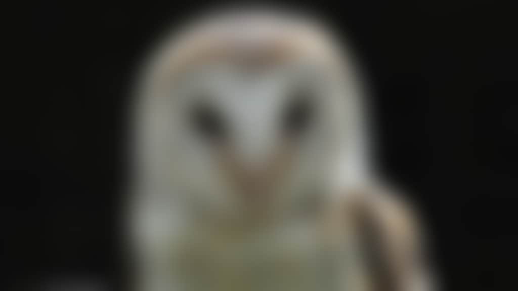 F5498E7Db8E71Fa2A5D0E104C82777Dd