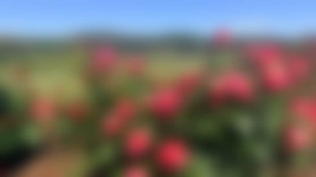 72786B2168C7Ffc18E069F0492D8F8B7