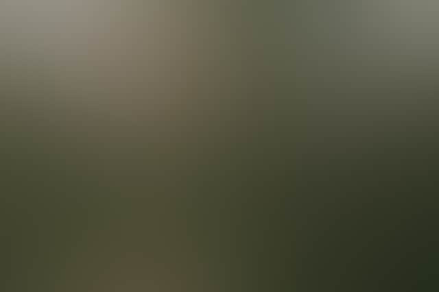 B389292B55083D88F97Bce49521F47Bf