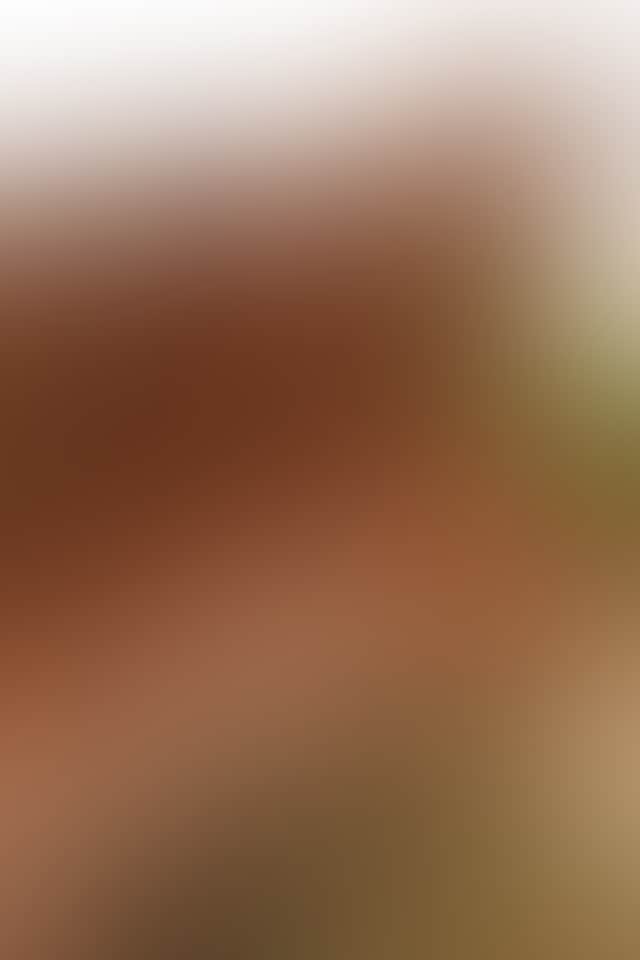 8E51337E7D6Efbc775B24439D8313Bb6