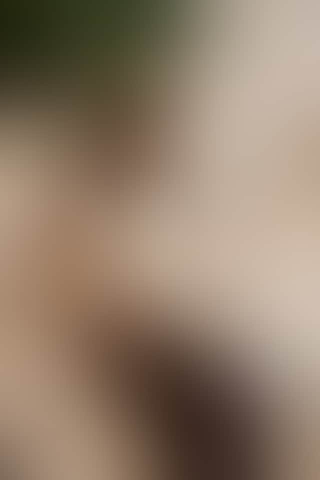 B6244B12E2Af039A9Cb2Ce0266955Ce5
