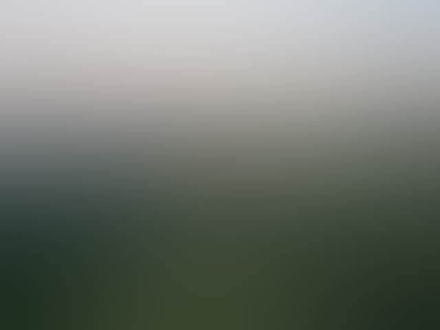 Dba6B612746B8E7Cbbc29930068B3D5F