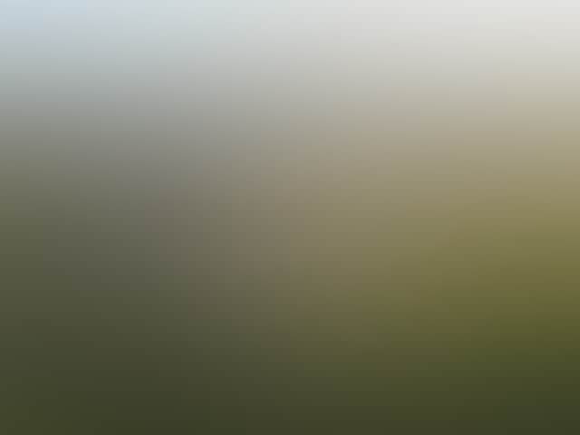8921Ab812885Dee07096E6Dc41D4A8B1