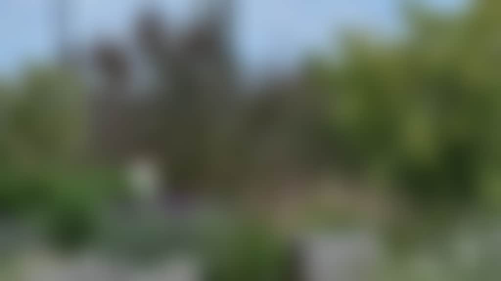 9D2867F04744Bcebd3764Afdc4Ae78E1