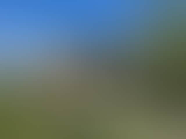 60077D86551C70C1235E30658Aa7A0B9