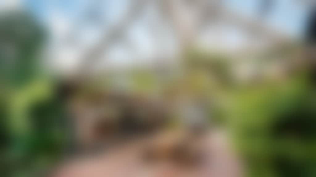 180099C9C3Cbd2F84D7Fe17Cda2Bb4Af