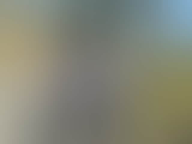 Ff11Ddacbe1Cc60333C57A65A715B1B4