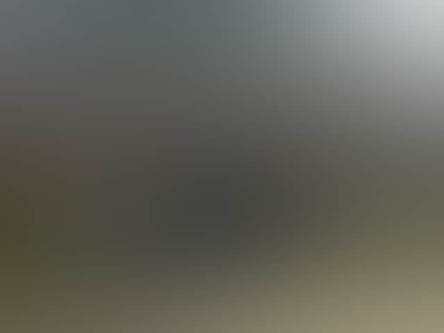 D6E9049A162Cff6D368713Edebc21B4E