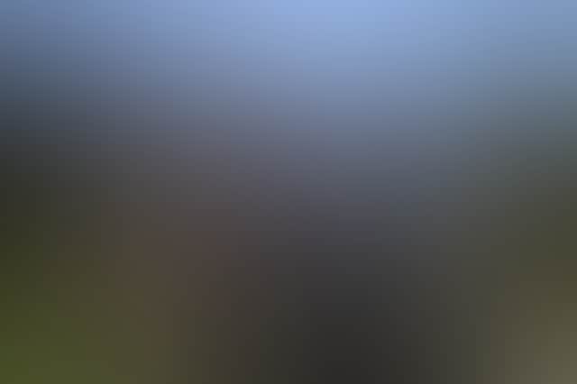 Ef90A5C7A5A1D8F337906Bfc448517C1