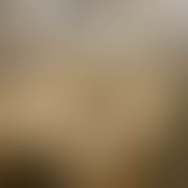 2Eb4Af2C5Da6F7F114B19D806B5E13C2