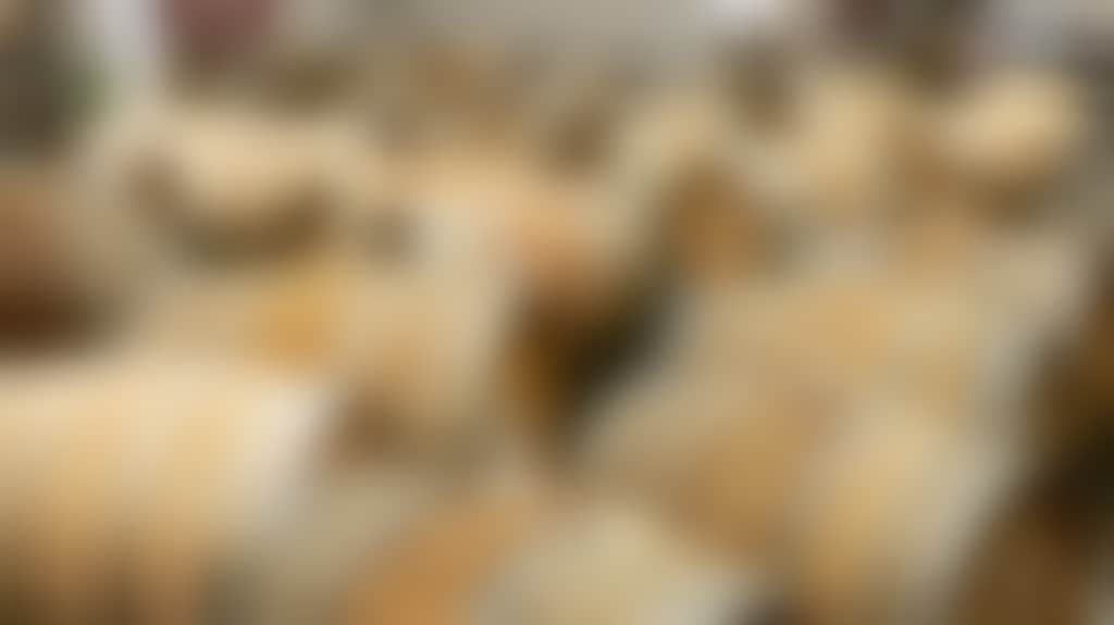 2Eb4Af2C5Da6F7F114B19D806B5E13C2