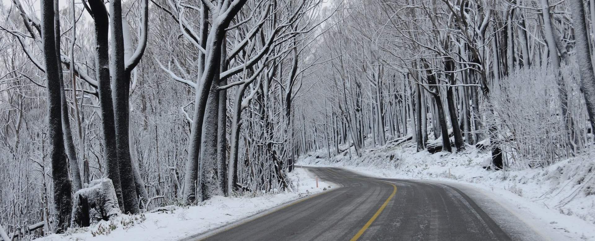 Lake mountain road copy