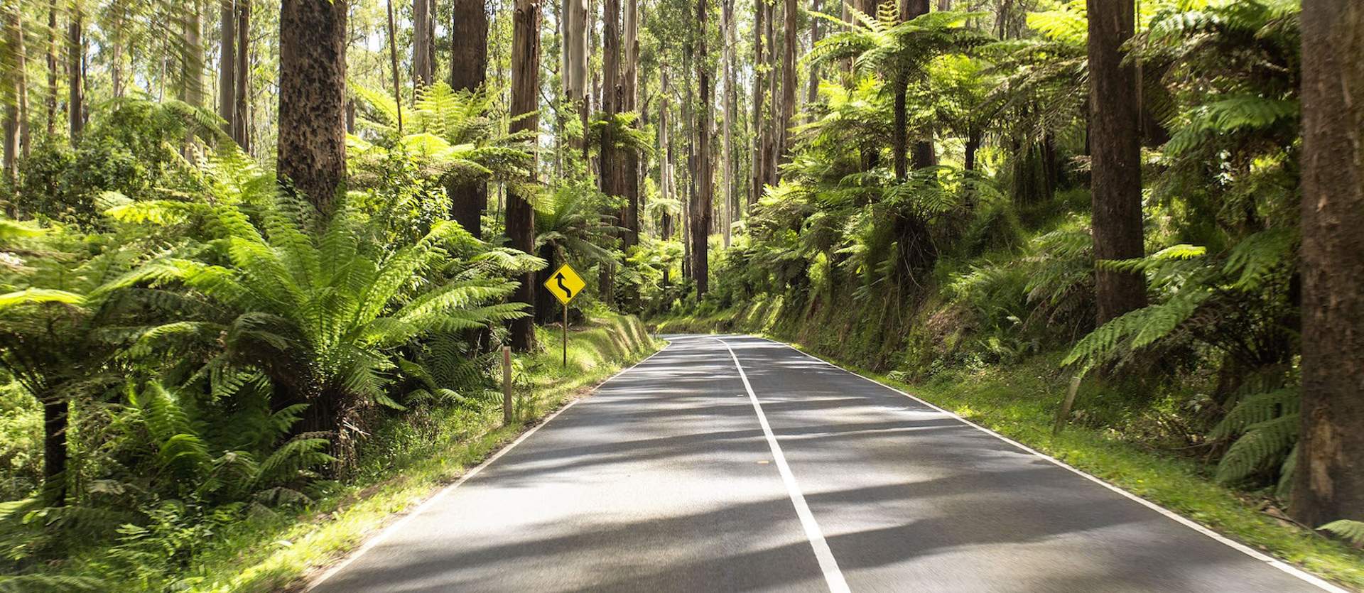 Copy of vibe marysville blackspur 35 2014