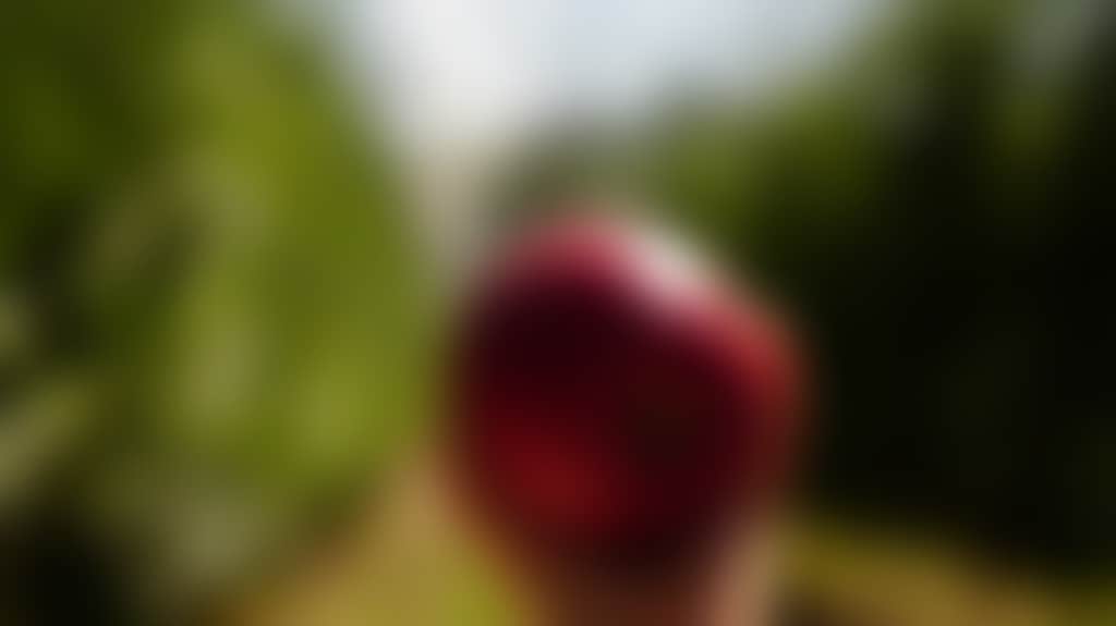 8A6C5F7B8B23Da484D0A7Aafb03Eb8Cc