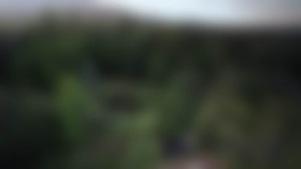 41F5Cfa7E95Da13285B0F45Aa272Bf87