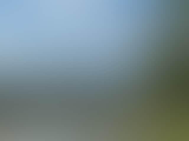 B7128Af3C3Ee70E9Ccf13Dc3Ca959774
