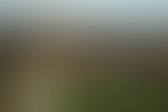 B290E750495B183Eb029783Bd2586Eba