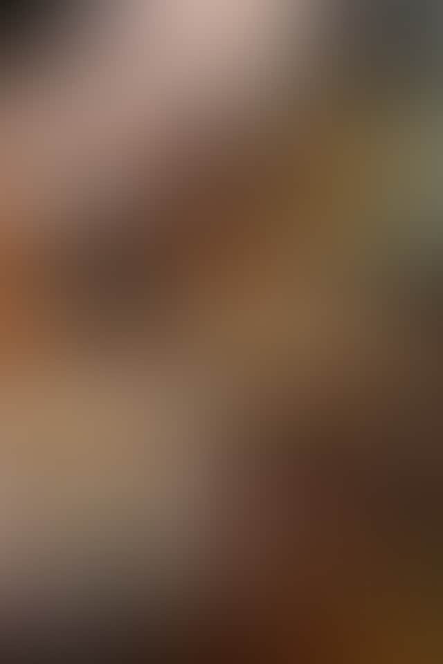E81F80F74B95A2013641E47E8C1D24Df
