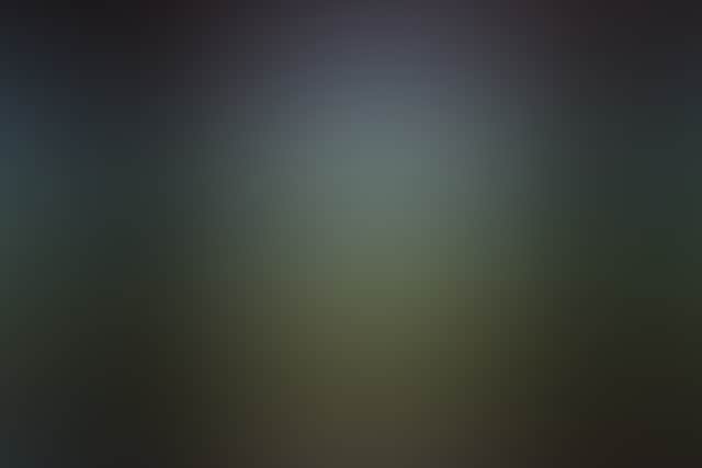 541261F8E7A19Bdbea4B55D11F47D486
