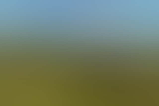 532A610A5Dab4A3B79378723C11Bfbb3
