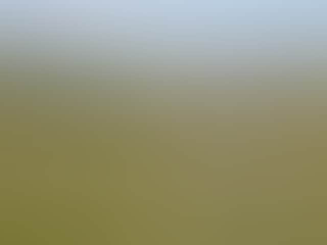 C2A1Bfec2535D8Ae162899F42F2Ec960