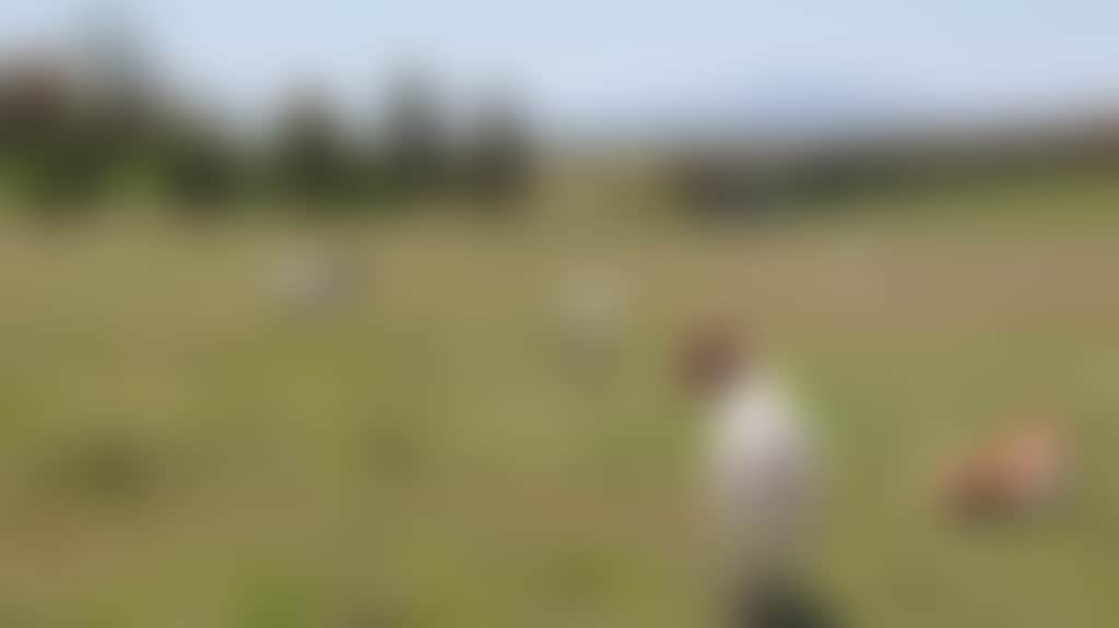 C2A1Bfec2535D8Ae162899F42F2Ec960