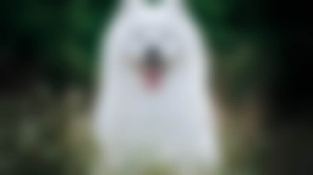 49616B43Da7Bc9Bb2A74Ed3924D5Df39_Tk1Uxvy_Ehotfom_T60Wcrv_Zskm050_E54L272