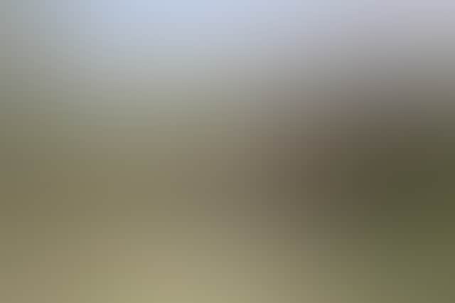 3730Ea97D233C748E8A9075C634B0366