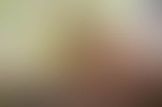D66C84D07Efcef27E075C705C85970Bd