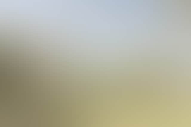 877Dc557D10E7C7C028Bb196B1B04944