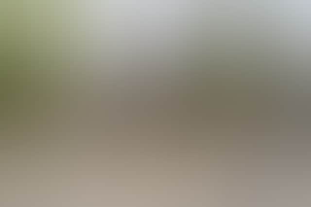 C7Dcbf1E422Fbab8C9108F56609E7Ccc