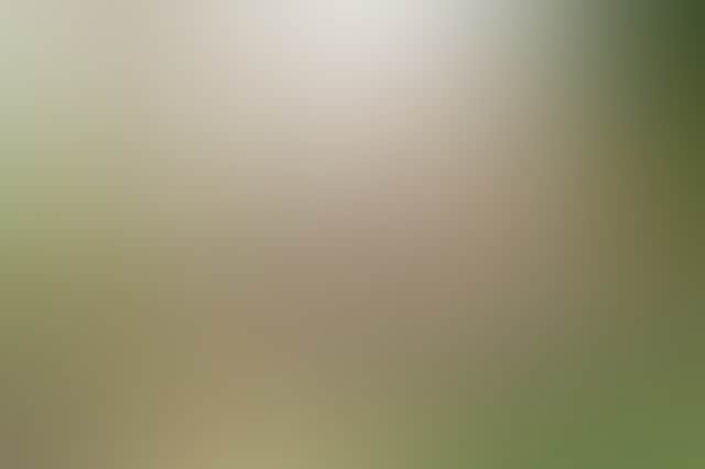 0Ef2A59Bc94F87C19855Fb1Fe269Dddc