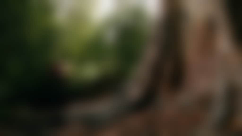 91545402B370C429687367C0D486056C