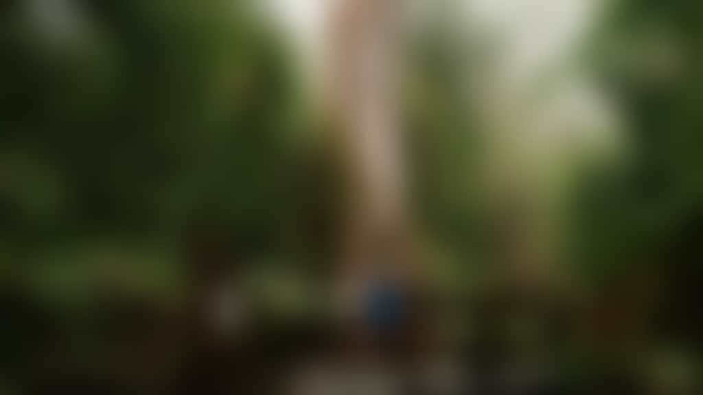8A63Cf101A387Af3F1568059C00Ef526