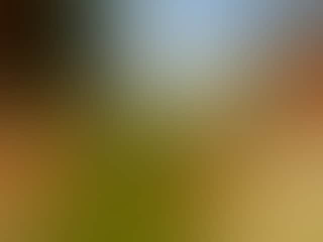 29834Ca58Bec0632598A969Fd79Ba85F