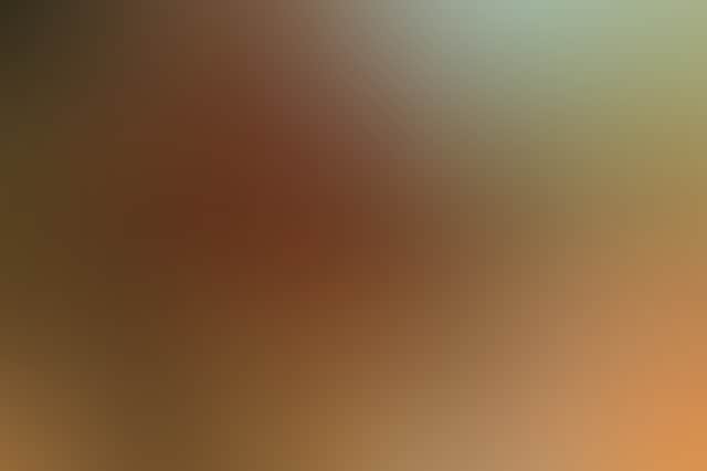 6Ad1624592Bf159560Db94Bfb6D0F2Cd