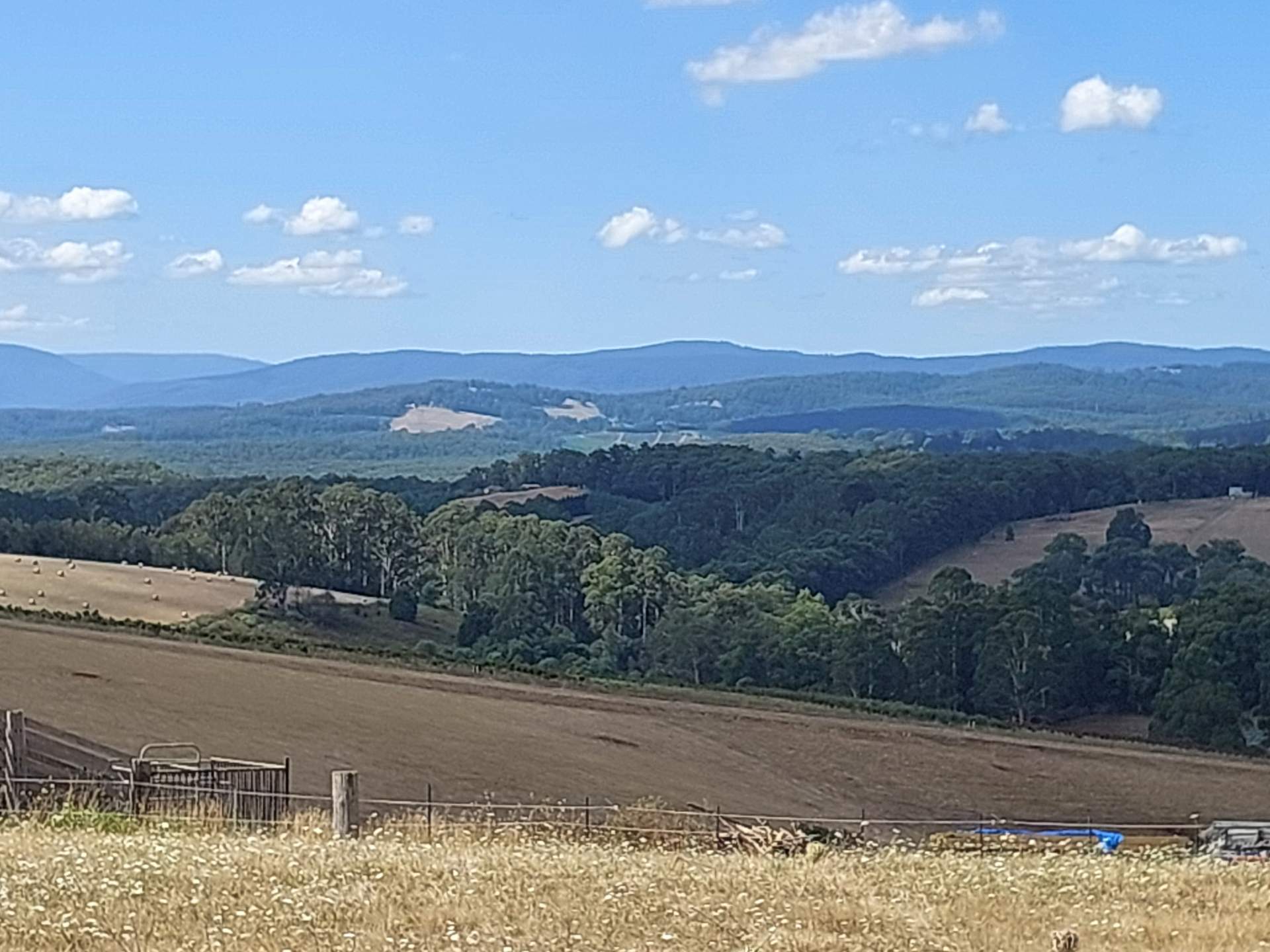 Avonsleigh gembrook