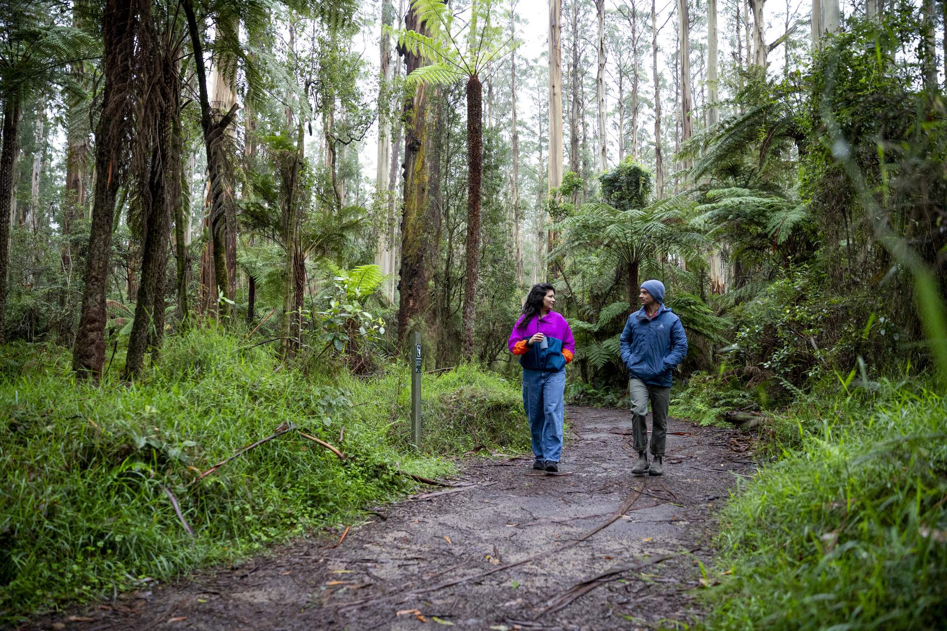 TE Autumn 2026 Justin Meneguzzi Dandenong Ranges Sherbrooke Forest2